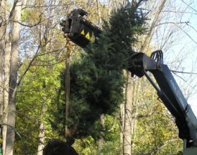 Botanická záhrada – výsadba