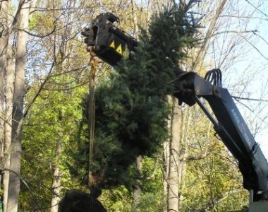 Botanická záhrada – výsadba