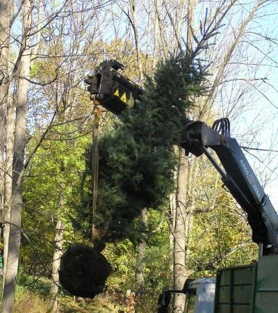 Botanická záhrada – výsadba